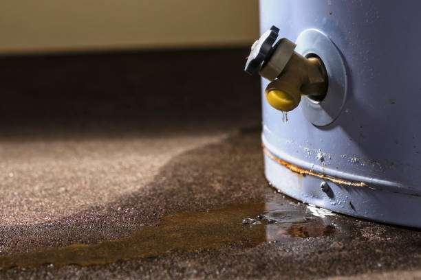 Carpet water damage restoration in Follansbee, WV