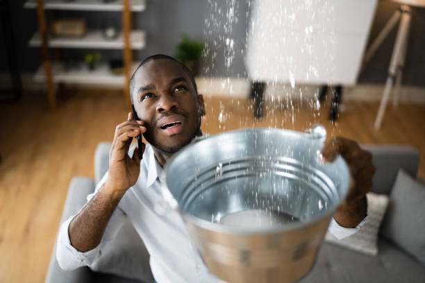 Best Water damage restoration experts  in Follansbee, WV