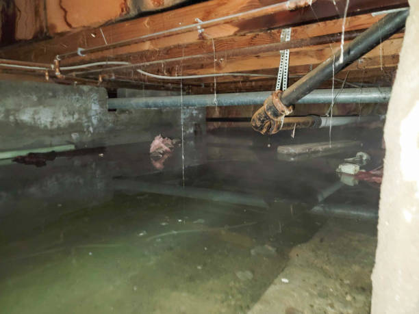 Water damage restoration experts in Follansbee, WV