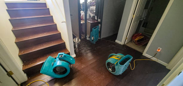 Best 24/7 water damage repair  in Follansbee, WV