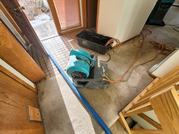 Best Ceiling water damage repair  in Follansbee, WV