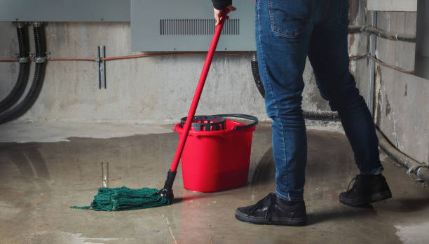 Best Basement water damage restoration  in Follansbee, WV