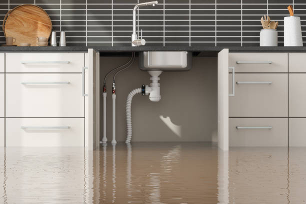 Best Water damage contractors near me  in Follansbee, WV