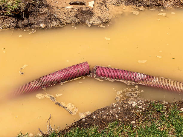 Best Water damage cleanup near me  in Follansbee, WV