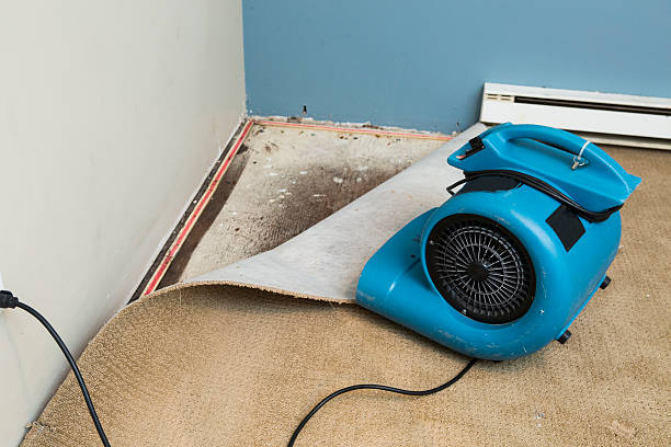 Best Ceiling water damage repair  in Follansbee, WV